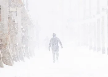Нема снега? Довозимо га камионима!