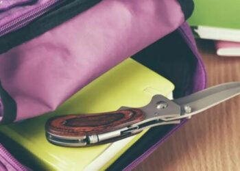 Професорка избодена у школи у Француској, ученик (14) ухапшен