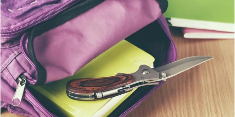 Професорка избодена у школи у Француској, ученик (14) ухапшен