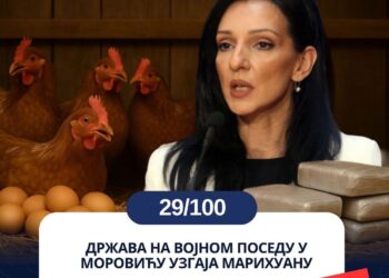 МАРИНИКИНЕ НАРКОКОКОШКЕ ИЗ МОРОВИЋА!