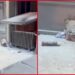 ПРВИ СНИМАК СА ФИЛОЗОФСКОГ ФАКУЛТЕТА: Да ли је могуће да је девојка страдала због неодговорности својих блокадерских колега?