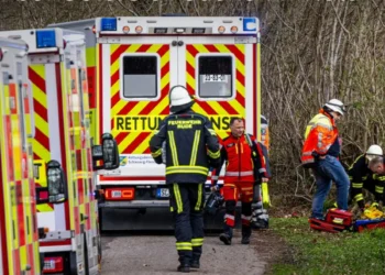 Трагедија у Немачкој: Дрво пало и усмртило мајку, бебу и девојчицу
